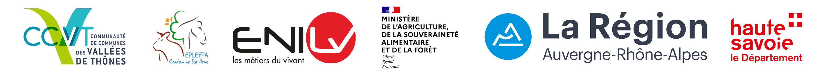 LOGO EN TETE